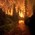 Incendio