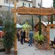 autumnia 2009