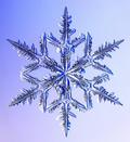 NEVE