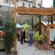 autumnia 2009