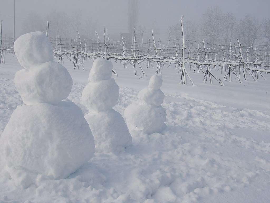 Stanotte possibilità di nevicate e vento forte...