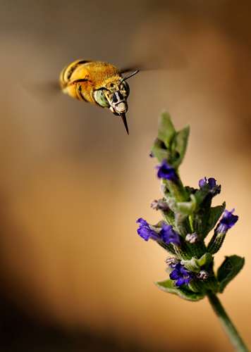 Volo, 2° premio portfolio