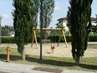 Per garantire la sicurezza il 23 luglio sar&agrave; necessario abbattere due pini in via Galilei.