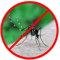 Prevenire la zanzara tigre: un incontro con i cittadini 